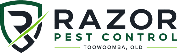 Razor Pest Control, licensed pest control in Toowoomba QLD